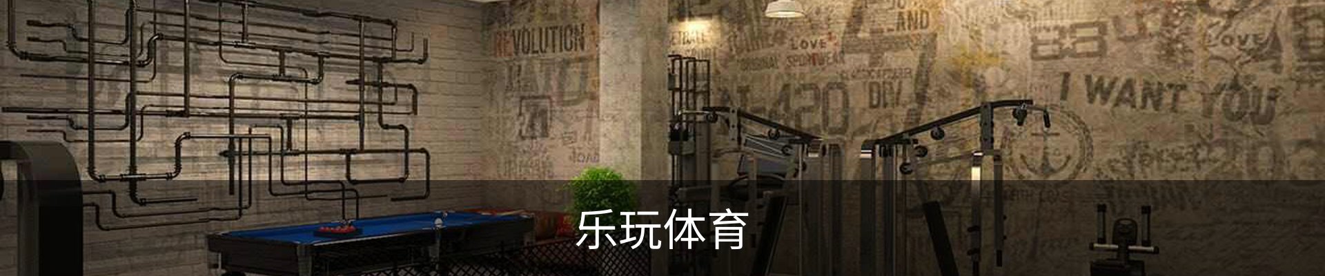 乐玩体育